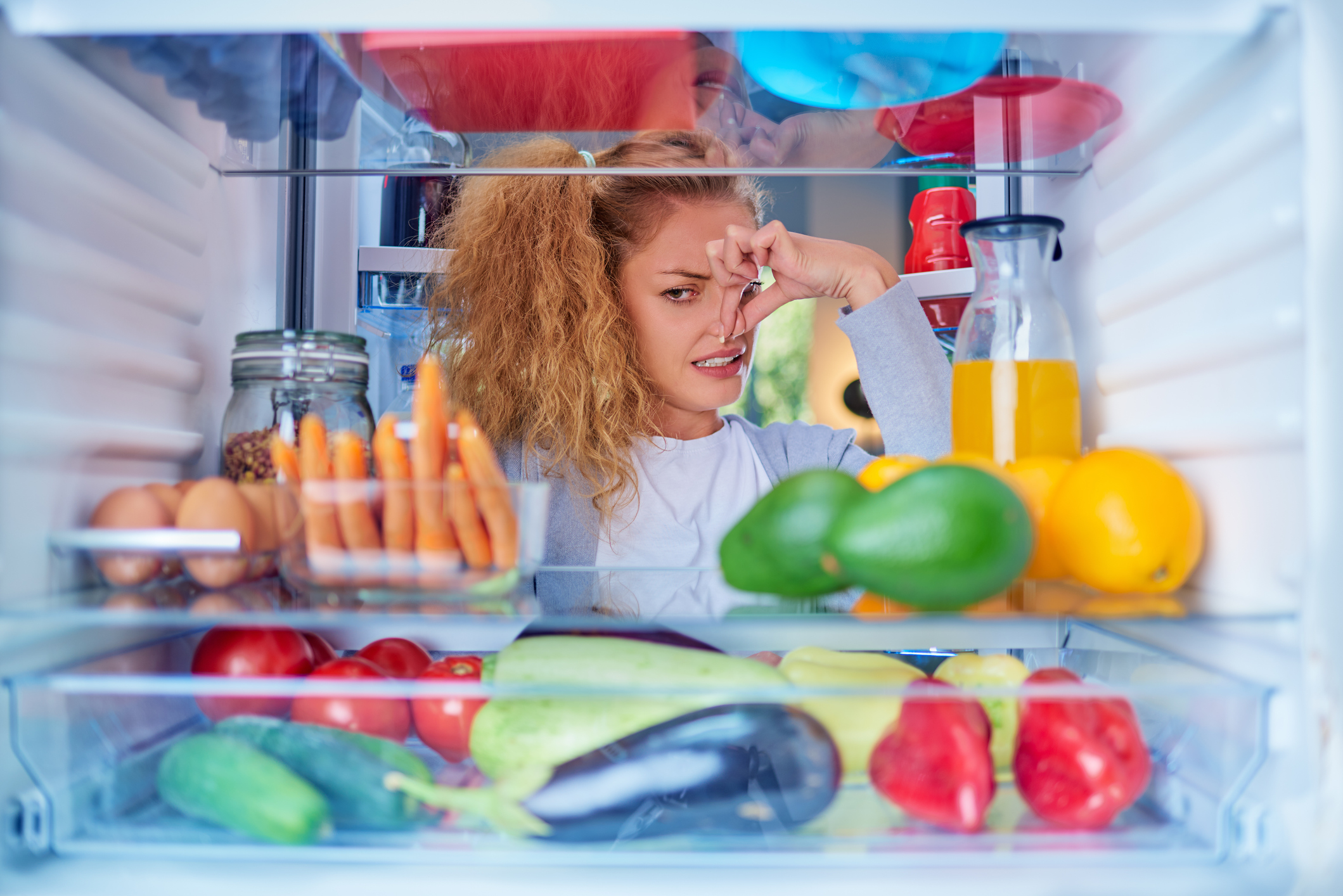 how-to-get-rid-of-smell-in-fridge-fridge-deodorizer-east-coast